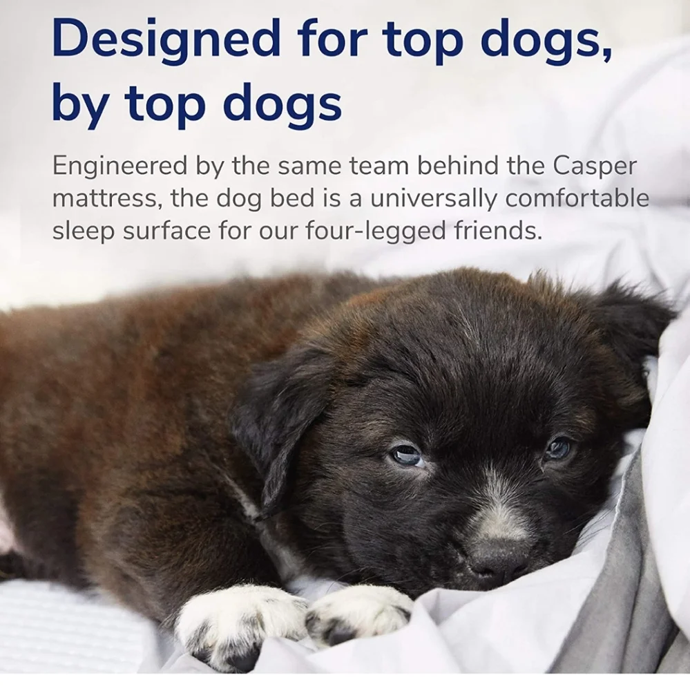 Casper Dog Bed Gray - Medium